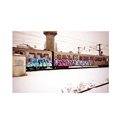 Painted Graves Vol. 1