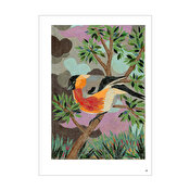 Corner Shop 2 Magazine