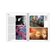 Graffiti Art Magazine 55