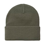 Carhartt WIP Short Watch Hat, Shungite