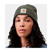 Carhartt WIP Short Watch Hat, Shungite