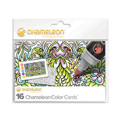 Chameleon Color Cards Embossed - Mirror Images