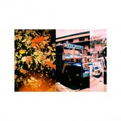 Lomography Diana Mini & Flash Coral Fusion