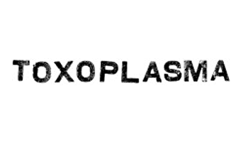 Toxoplasma Press